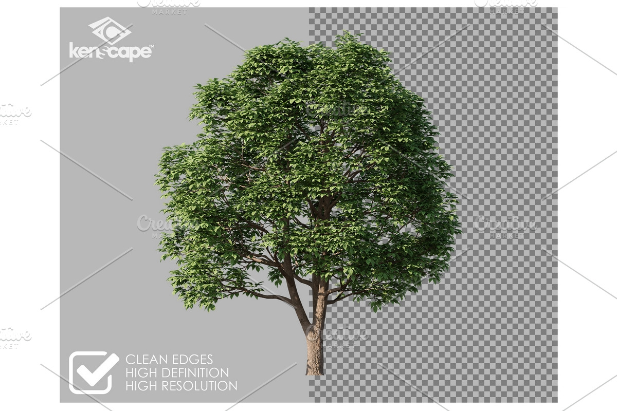 72 Assorted Trees Photo Overlays, a Nature Photo by KenScape (Photo 2 of 3)