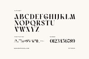 Wagims Unique Serif Font, a Serif Font by Graphicxell (Thumbnail 8 of 8)