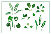 Home plants in cozy interiors, an Illustration by Elena Istomina (Thumbnail 5 of 10)