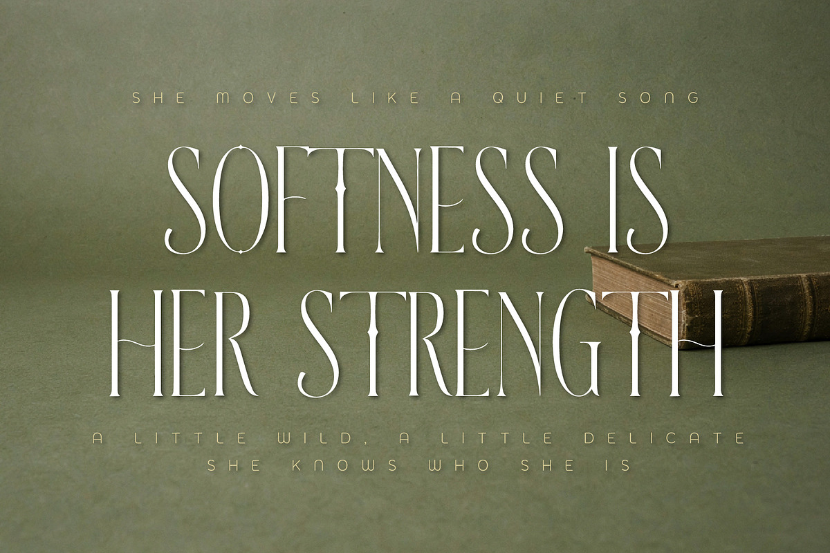 ZAWERMES - Thin Lines Elegance, a Serif Font by HypeWorksCo (Photo 6 of 21)