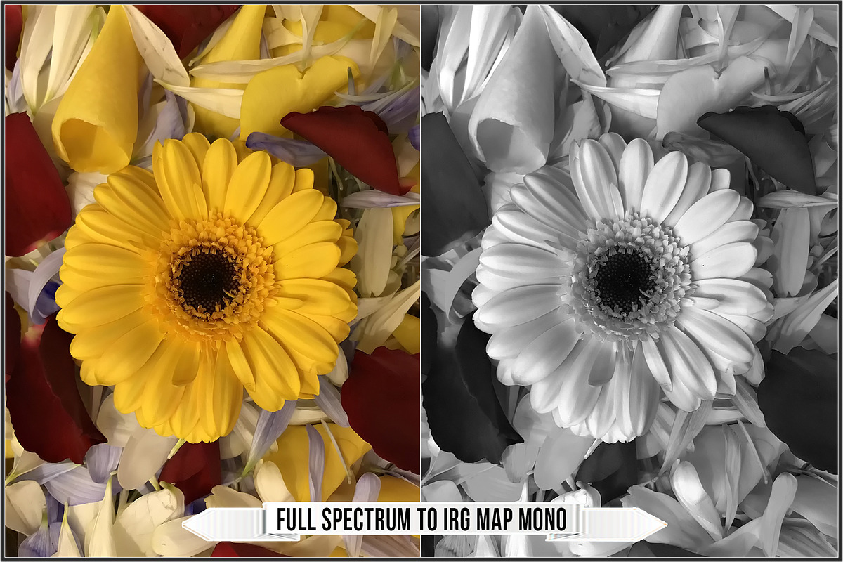 Infrared Ultraviolet Monochrome LUTs, a Plug-in Add-On by Raztrend (Photo 5 of 30)