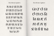 Loubrisa - Playful Branding Fonts, a Serif Font by creativemedialab (Thumbnail 9 of 13)