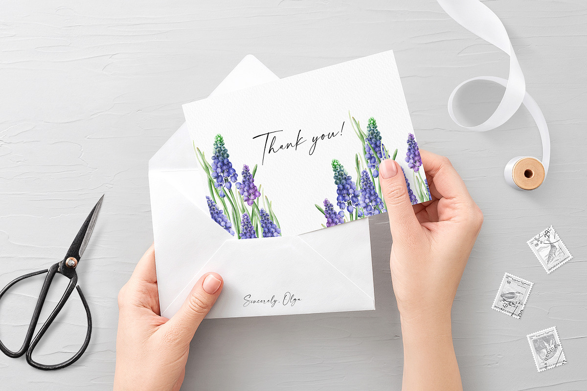 Botanical Muscari Set, an Illustration by Olga Koelsch (Photo 9 of 9)