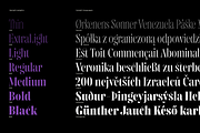 Gabriela Stencil Condensed, a Font by Lechuga Type (Thumbnail 4 of 17)