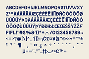 SFC Mackerel (Refined) - Font Duo, a Serif Font by Skilline Supply Co. (Thumbnail 8 of 22)