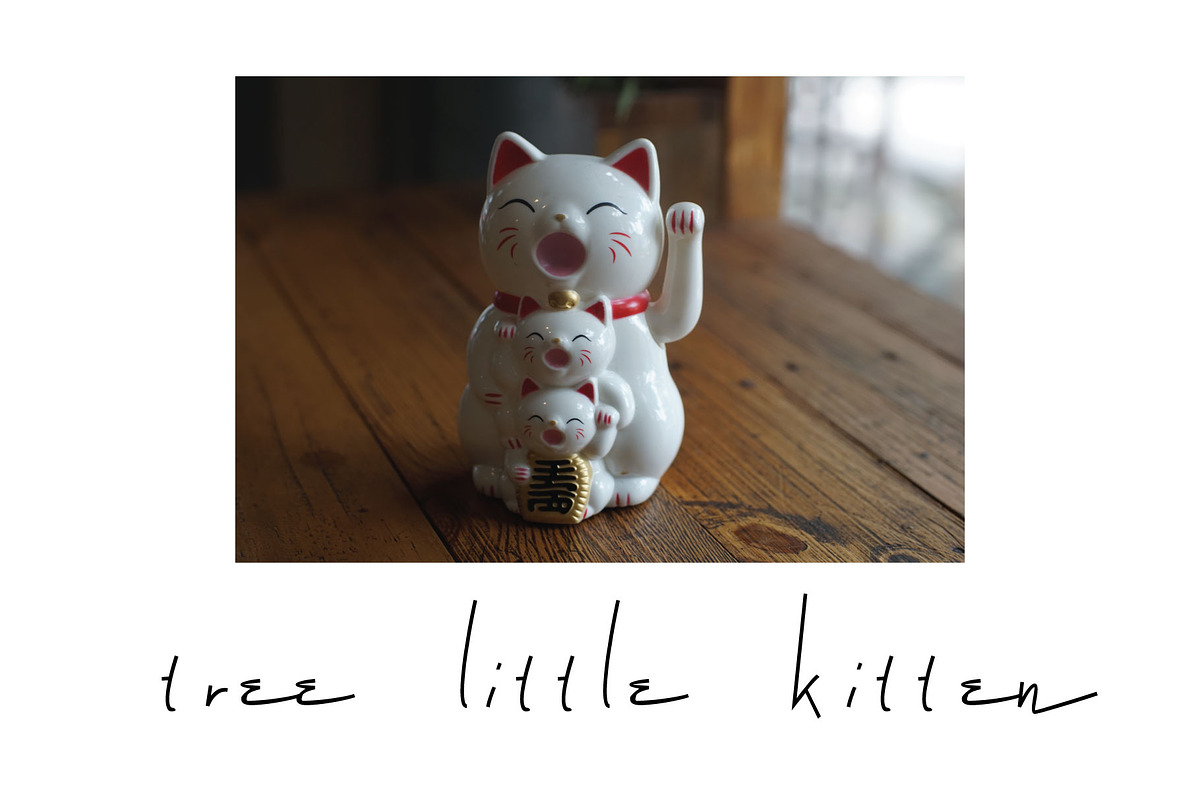 Picablo Fentier - Handwritten font, a Handwritten Font by Gittype (Photo 3 of 8)