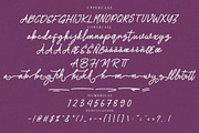 Manttanbia Monoline Script Font, a Script Font by NTC Graphic (Thumbnail 8 of 9)