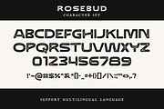 Rosebud - Vintage Letterpress Font, a Sans Serif Font by Graphicfresh (Thumbnail 6 of 8)