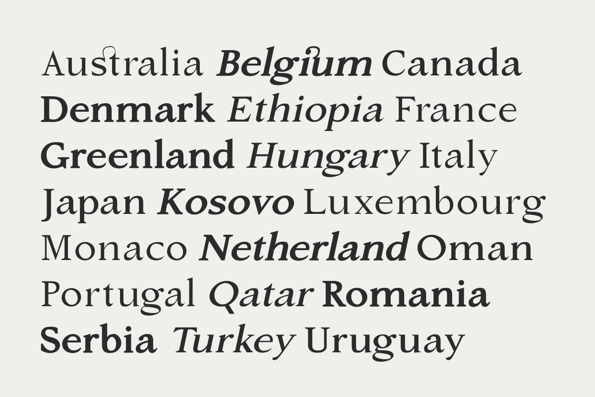 Silent Citadel – Editorial Serif, a Serif Font by Fikryal Studio (Photo 3 of 16)