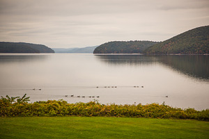 Ducks in a row digital background stock photo containing ducks in a row and