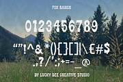 Fox Ranch | Retro Western Font, a Slab Serif Font by Lucky Bee Creative Studio (Thumbnail 4 of 7)
