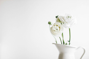 Ranunculus and blooming branches