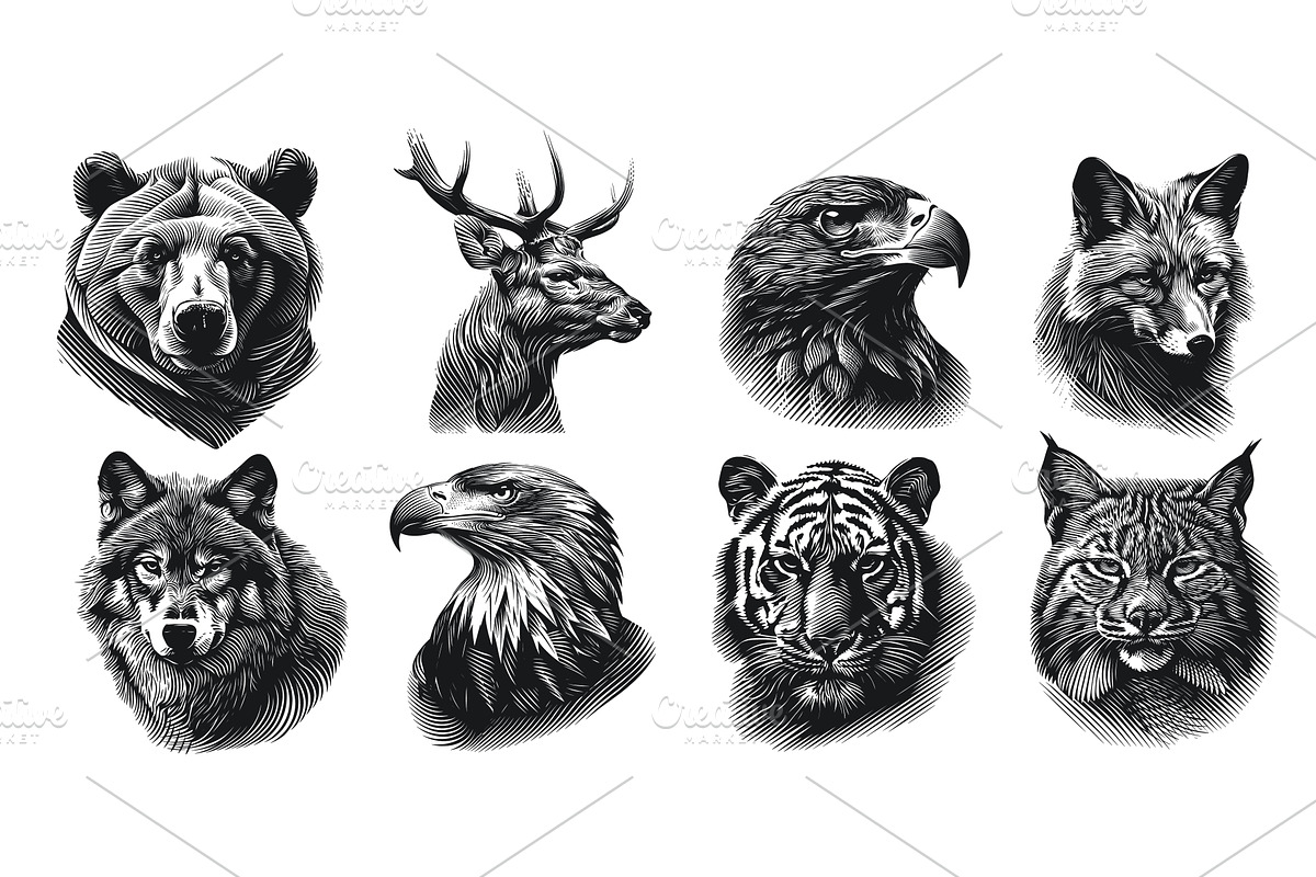 wild animals head engraving. animal, an Animal Illustration by Stock-Smart-Start