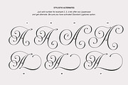 Rocksane Display, a Serif Font by Andrey Sharonov (Thumbnail 5 of 18)