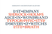 Hermann, a Serif Font by W Type Foundry (Thumbnail 13 of 16)