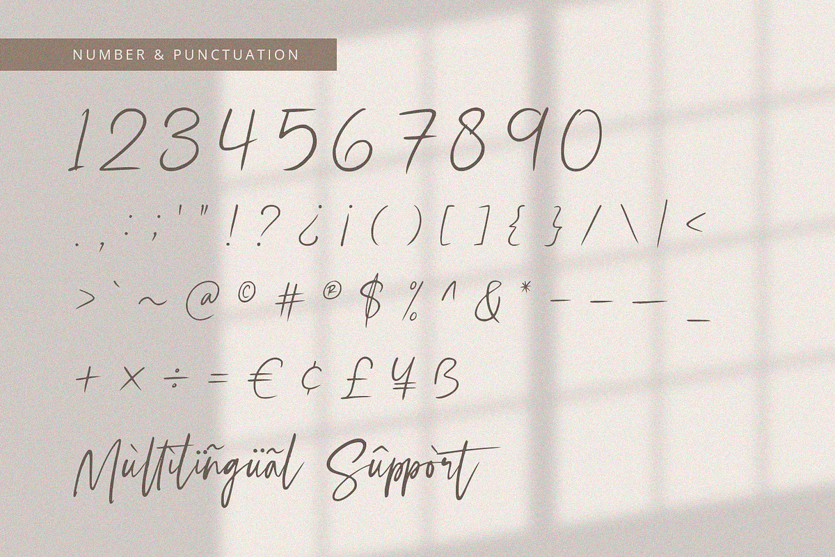 Selestia Signature -Handwritten Font, a Handwritten Font by Alpaprana (Photo 9 of 10)