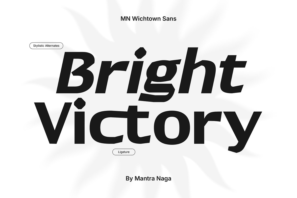 MN Wichtown Sans - Modern Sans Serif, a Sans Serif Font by Mantra Naga (Photo 8 of 15)