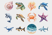 Watercolor Sea Animals Clipart, a Seasonal Illustration by Design Market (Thumbnail 3 of 5)