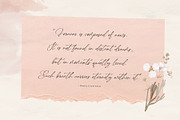 Bellanty - Elegant Script Font, a Script Font by Graha Type (Thumbnail 2 of 8)
