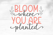 Farmhouse Handwritten - Font Duo, a Script Font by Rotterlab Studio (Thumbnail 7 of 12)