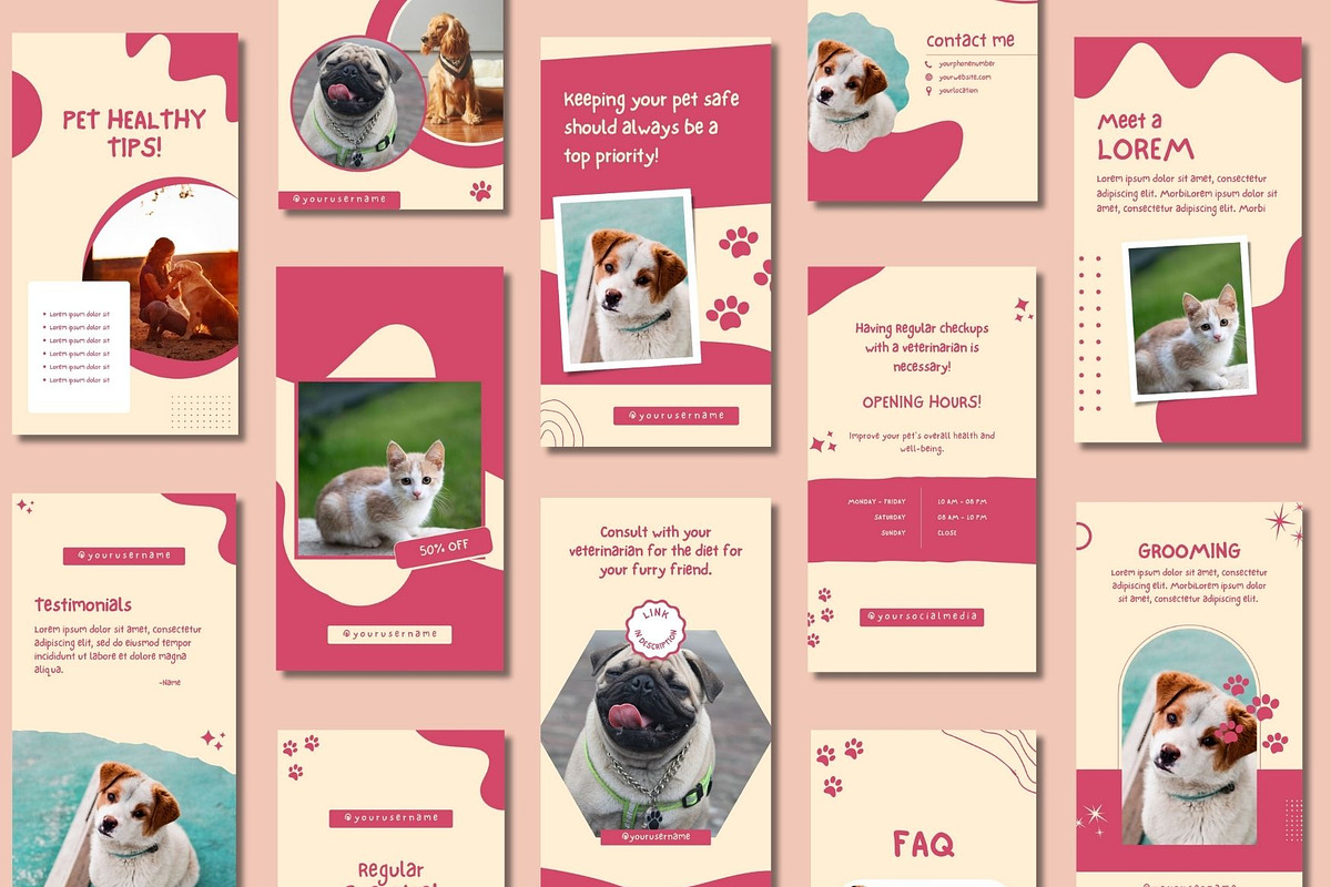 Pet Shop Story Canva Templates, a Templates & Theme by BoontenStudio (Photo 4 of 8)