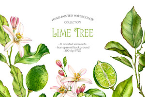 Lime Tree Watercolor Fruits Set