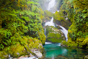 Mackay Falls Waterfall New Zealand, a Nature Photo by THP Creative