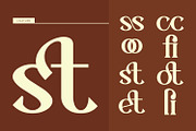 Cassovia - Modern Serif Font, a Serif Font by Rishsketch (Thumbnail 13 of 15)