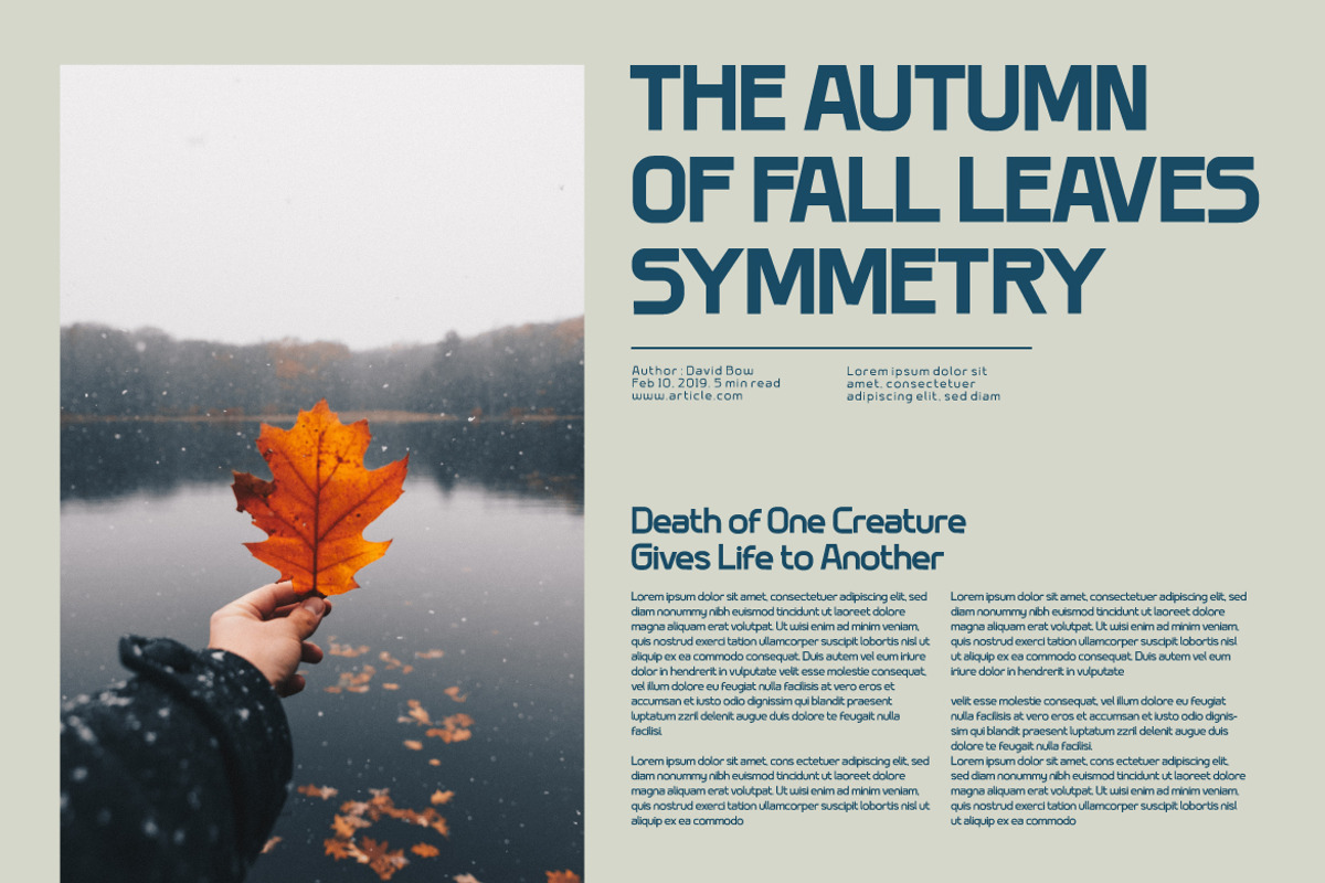 Zimeta, a Sans Serif Font by twinstd (Photo 7 of 11)