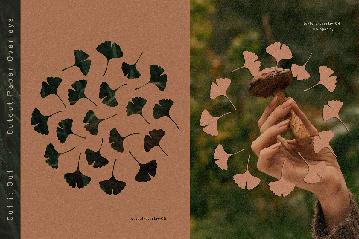 Cut It Out - Cutout Paper Overlays, a Texture Graphic by alonahaidash (Photo 12 of 26)