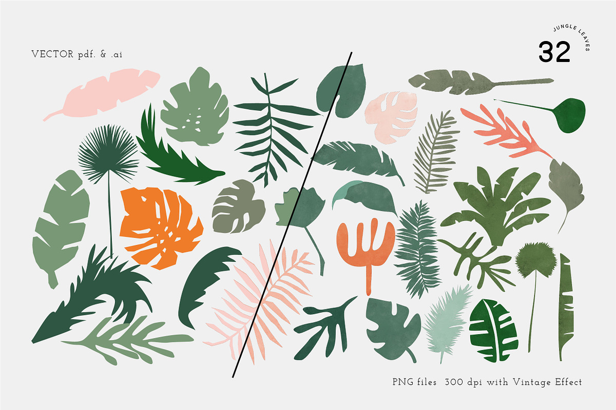 TROPICAL FOREST JUNGLE LEAVES, an Illustration by All This Concept (Photo 4 of 10)