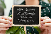 Staly Celestial, a Handwritten Font by Integritype Studio (Thumbnail 4 of 15)