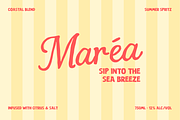 Costa Brisa – Retro Summer Font Duo, a Script Font by Creacy Studio (Thumbnail 4 of 11)