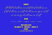 Mistkin | Font Duo, a Serif Font by Lemonthe (Thumbnail 10 of 10)
