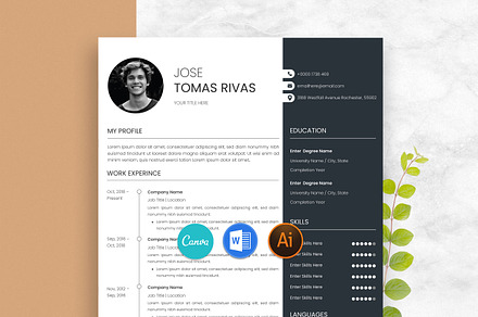 Resume / CV Word & Canva