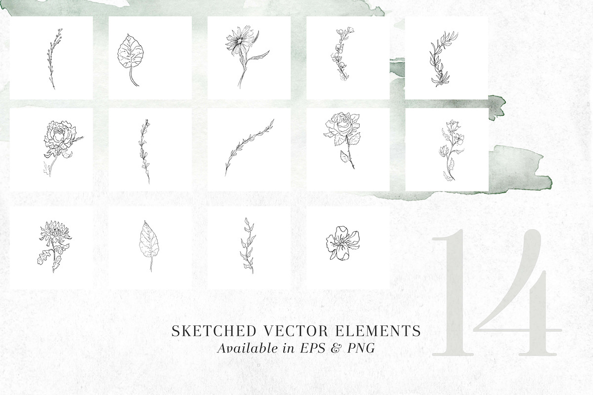RoSA - Floral Clipart, an Illustration by The Autumn Rabbit Ltd (Photo 10 of 14)