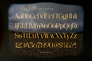 Welp Clair | Display Serif, a Serif Font by gracetype_studio (Thumbnail 10 of 12)