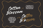Verdons Wild - Vintage Brush Script, a Script Font by Bale Type (Thumbnail 9 of 10)
