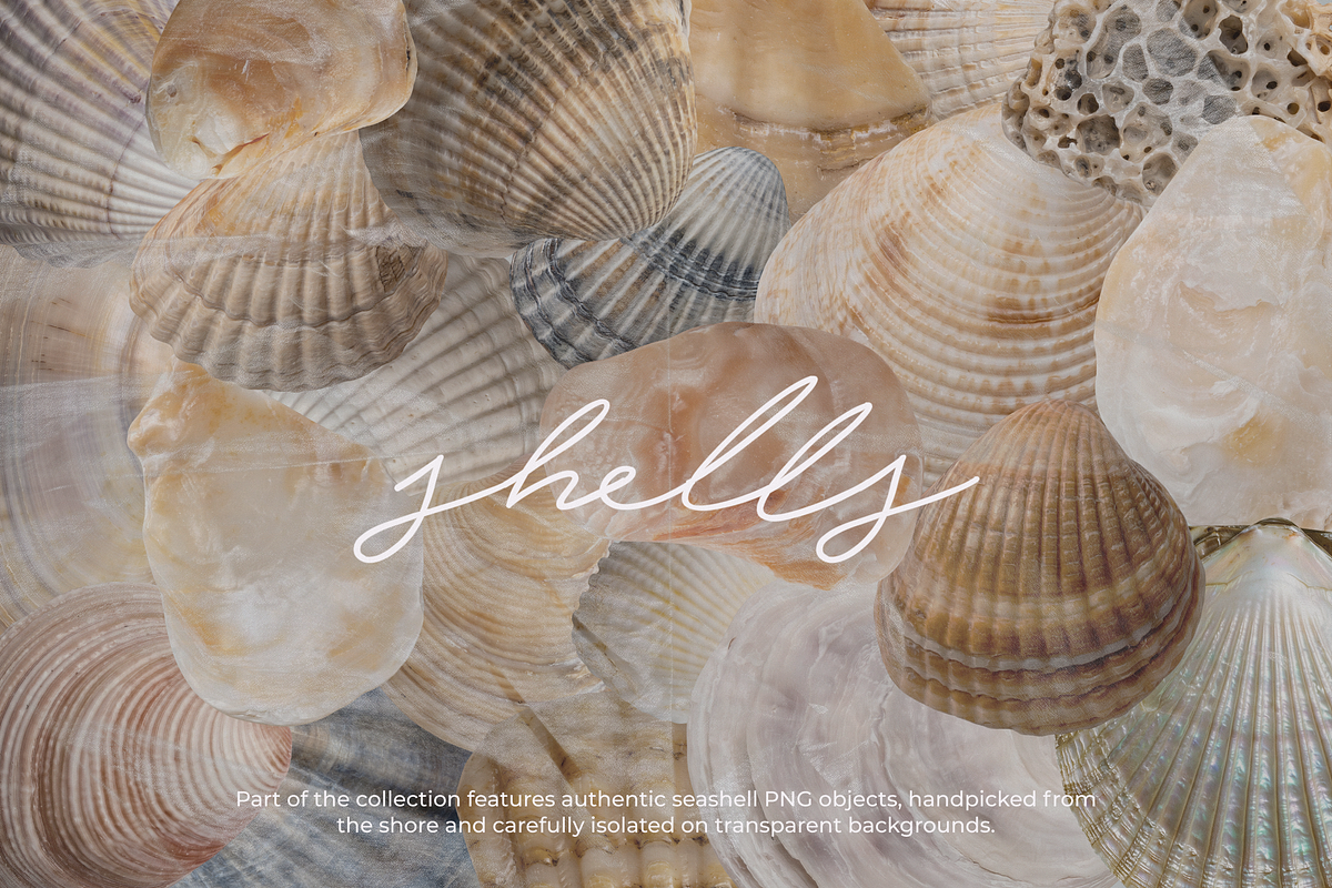 Pearlescent Relics: Collage Kit, an Object Graphic by TiriCo (Photo 5 of 15)
