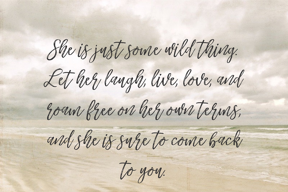 Another Wild Modern Brush Script preview 6