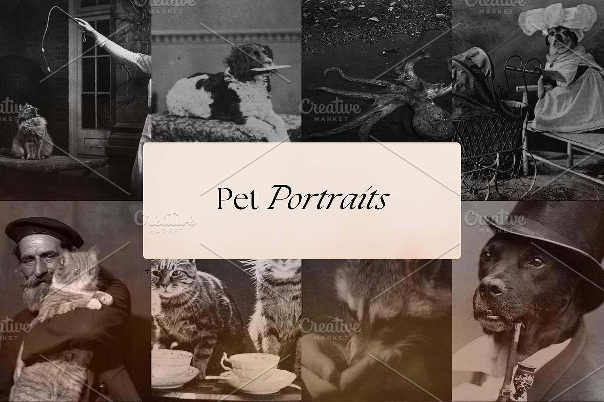 Dark Ephemera Stock Photo Bundle, a Person Photo by The Flossy Finch (Photo 9 of 16)