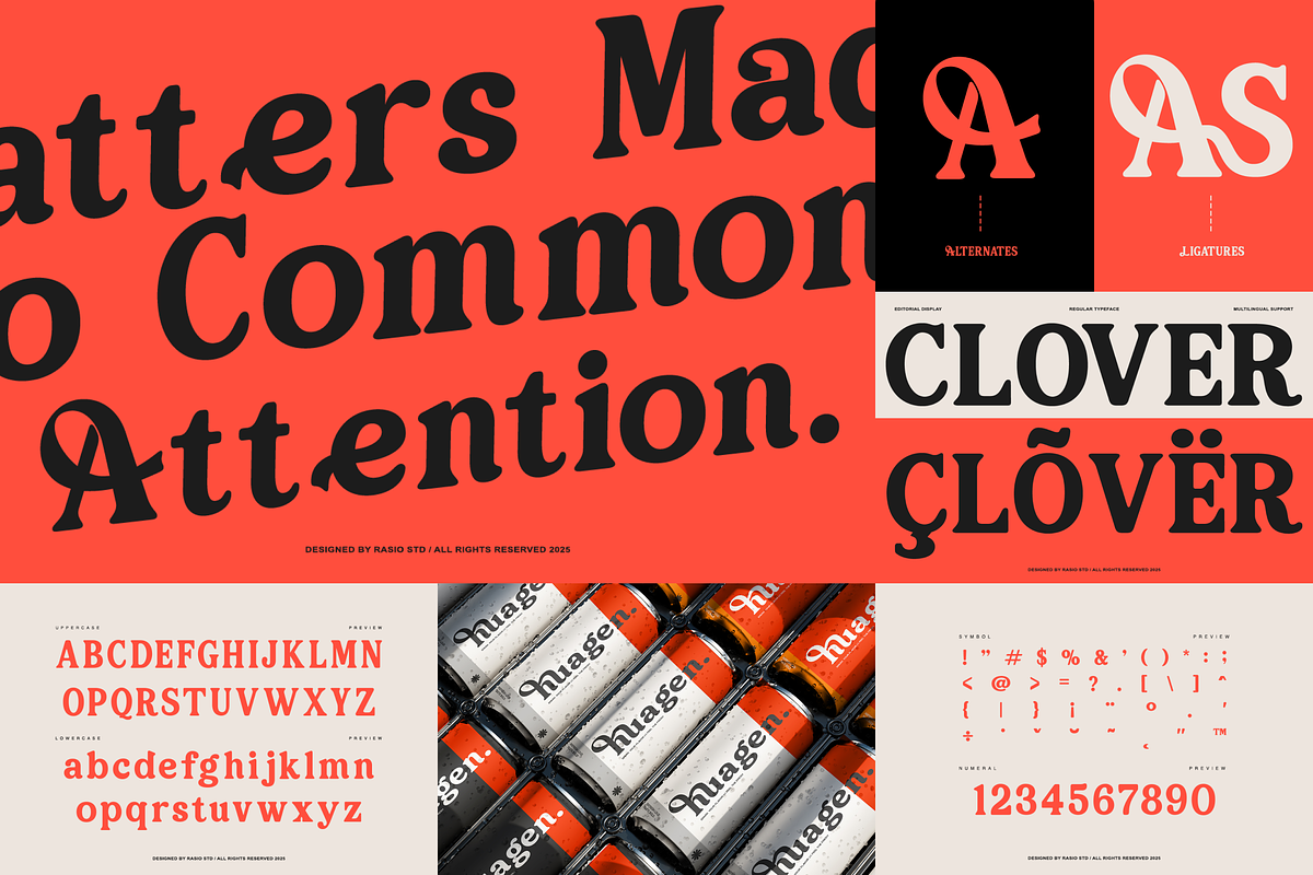 Bold Serif Font Bundle, a Serif Font by Rasio Studio (Photo 4 of 12)