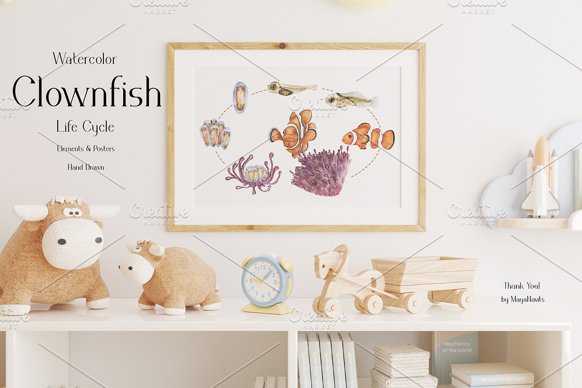 Watercolor Clownfish Life Cycle Set, an Education Illustration by MayaNavits (Photo 6 of 7)
