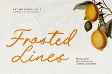 Frosted Lines - Rough Bold Script