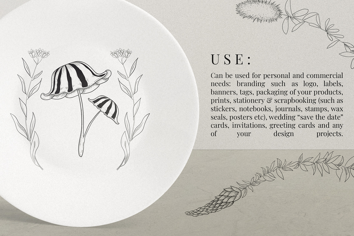 Hand Drawn Vector Vintage Mushrooms, a Decorative Illustration by foxsong (Photo 7 of 12)