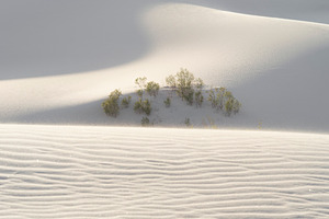 dunes