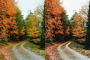 15 Rustic Fall Lightroom Presets, a Preset Add-On by TheWayfarerShoppe (Thumbnail 9 of 9)