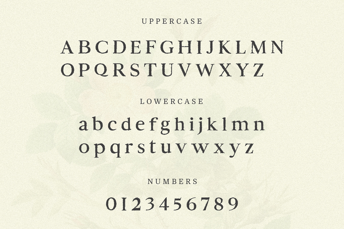 Piziza Brush Font, a Serif Font by Creativetacos (Photo 11 of 12)