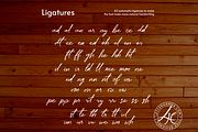 Astellan Font, a Handwritten Font by Letterhanna Studio (Thumbnail 14 of 25)
