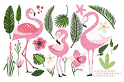 Flamingo Gardens illustration bundle, an Animal Illustration by Red Ink (Thumbnail 9 of 12)
